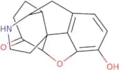 Nor hydromorphone