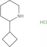 2-Cyclobutylpiperidine hydrochloride