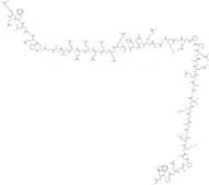 Pancreastatin (Dephosphorylated Porcine)