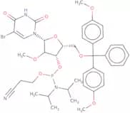 5-Bromo-5'-O-DMT-2'-O-methyluridine 3'-CE phosphoramidite