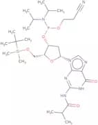 5'-O-tert-Butyldimethsilyl-2'-Deoxy-N2-isobutyrylguanosine 3'-CE phosphoramidite