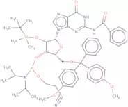 N2-Benzoyl-2'-O-tert-butyldimethylsilyl-5'-O-DMT-guanosine 3'-CE phosphoramidite