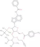N6-Benzoyl-2'-O-tert-butyldimethylsilyl-5'-O-toluoyladenosine 3'-CE phosphoramidite