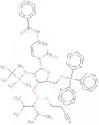 N4-Benzoyl-2'-O-tert-butyldimethylsilyl-5'-O-tritylcytidine 3-CE phosphoramidite