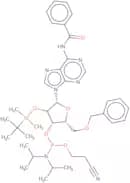 N6-Benzoyl-5'-O-benzyl-2'-O-tert-butyldimethylsilyladenosine 3'-CE phosphoramidite