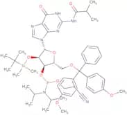 2'-O-tert-Butyldimethylsilyl-5'-O-DMT-N2-isobutyrylguanosine 3'-CE phosphoramidite