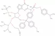 2'-O-tert-Butyldimethylsilyl-5'-O-DMT-N2-(4-isopropylphenoxyacetyl)guanosine 3'-CE phosphoramidite