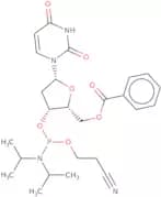 5'-O-Benzoyl-2'-deoxyuridine 3'-CE phosphoramidite