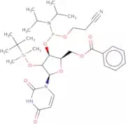 5'-O-Benzoyl-2'-O-tert-butyldimethylsilyluridine 3'-CE phosphoramidite