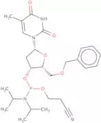 5'-O-Benzylthymidine 3'-CE phosphoramidite