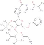 5'-O-Benzyl-2'-O-tert-butyldimethylsilyl-N2-Isobutyrylguanosine 3'-CE phosphoramidite