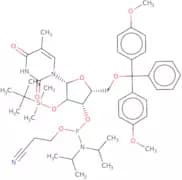 2'-O-tert-Butyldimethylsilyl-5'-O-DMT-5-methyluridine 3'-CE phosphoramidite