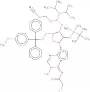 2'-O-tert-Butyldimethylsilyl-N6-chloroacetyl-N1-methyl-5'-O-MMT-adenosine 3'-CE phosphoramidite