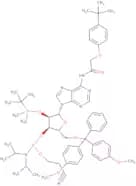 2'-O-tert-Butyldimethylsilyl-N6-(tert-butylphenoxyacetyl)-5'-O-DMT-adenosine 3'-CE phosphoramidite