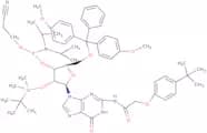 2'-O-tert-Butyldimethylsilyl-N-(tert-butylphenoxyacetyl)-5'-O-DMT-guanosine 3'-CE phosphoramidite