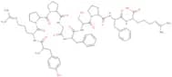 Tyrosyl-Bradykinin