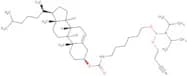 Cholest-5-en-3-ol, 3-(6-(((2-cyanoethoxy)(diisopropylamino)phosphino)oxy)hexyl)carbemate