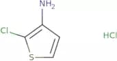 2-Chlorothiophen-3-amine hydrochloride