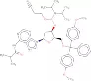 2'-Deoxy-5'-O-DMT-N6-isobutyryladenosine 3'-CE phosphoramidite