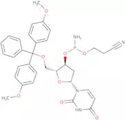2'-Deoxy-5'-O-DMT-uridine 3'-CE phosphoramidite