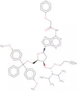 2'-Deoxy-5'-O-DMT-N6-phenoxyacetyladenosine 3'-CE phosphoramidite