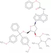 2'-Deoxy-5'-O-DMT-N6-phenoxyacetyladenosine 3'-Me phosphoramidite