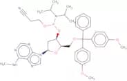 2'-Deoxy-5'-O-DMT-N6-methyladenosine 3'-CE phosphoramidite