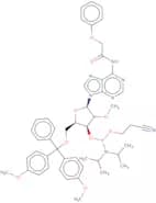 5'-O-DMT-2'-O-methyl-N6-phenoxyacetyladenosine 3'-CE phosphoramidite