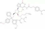 5'-O-DMT-N2-(4-isopropylphenoxyacetyl)-2'-O-methylguanosine 3'-CE phosphoramidite