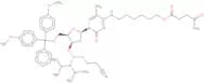 2'-Deoxy-5'-O-DMT-N4-(hexyloxylevulinyl)-5-methylcytidine 3'-CE phosphoramidite