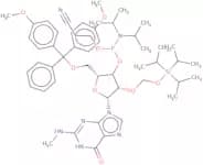 5'-O-DMT-2'-O-triisopropylsilyloxymethyl-N2-methylguanosine 3'-CE phosphoramidite