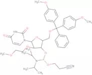 5'-O-DMT-2'-O-(2-methoxyethyl)uridine 3'-CE phosphoramidite
