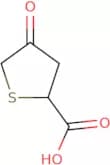 4-Oxothiolane-2-carboxylic acid