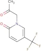 1-(2-Oxopropyl)-5-(trifluoromethyl)-1,2-dihydropyridin-2-one