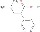 Potassium 4-methyl-2-(pyridin-4-yl)pentanoate