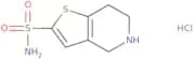 4H,5H,6H,7H-Thieno[3,2-c]pyridine-2-sulfonamide hydrochloride