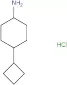 4-Cyclobutylcyclohexan-1-amine hydrochloride