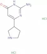 2-Amino-6-(pyrrolidin-3-yl)pyrimidin-4-ol dihydrochloride