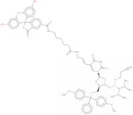 6-Fluorescein dT phosphoramidite