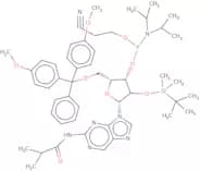 2-Isobutyrylamino-9-(2'-O-tert-butyldimethylsilyl-5'-O-DMT-b-D-ribofuranosyl)purine 3'-CE phosphor…