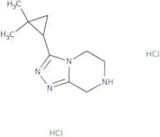 3-(2,2-Dimethylcyclopropyl)-5H,6H,7H,8H-[1,2,4]triazolo[4,3-a]pyrazine dihydrochloride