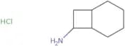 Bicyclo[4.2.0]octan-7-amine hydrochloride