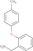 [2-(4-Methylphenoxy)phenyl]methanamine