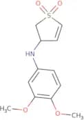 3-[(3,4-Dimethoxyphenyl)amino]-2,3-dihydro-1λ⁶-thiophene-1,1-dione