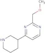 2-(Methoxymethyl)-4-(piperidin-3-yl)pyrimidine