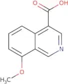 8-Methoxyisoquinoline-4-carboxylic acid