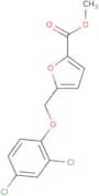 5-(2,4-Dichloro-phenoxymethyl)-furan-2-carboxylic acid methyl ester