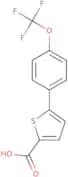 5-[4-(Trifluoromethoxy)phenyl]thiophene-2-carboxylic acid
