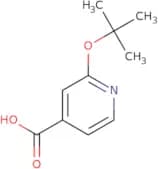 2-(tert-Butoxy)pyridine-4-carboxylic acid