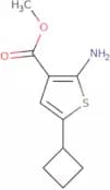 Methyl 2-amino-5-cyclobutylthiophene-3-carboxylate